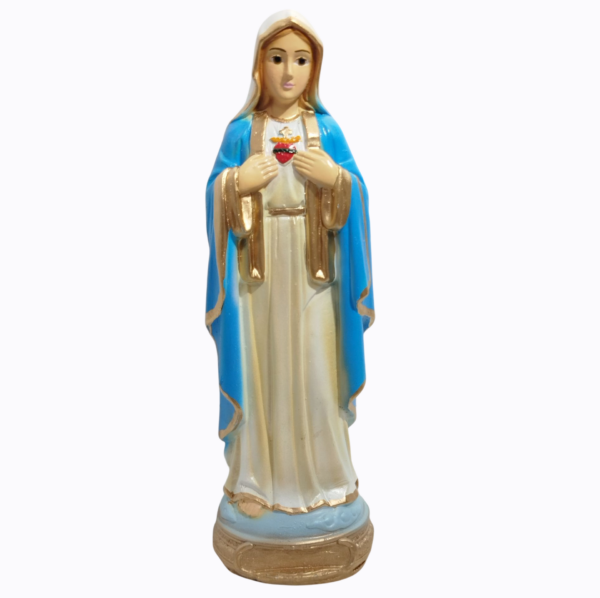 Sagrado Coração de Maria 20cm Gesso Premium Pintado
