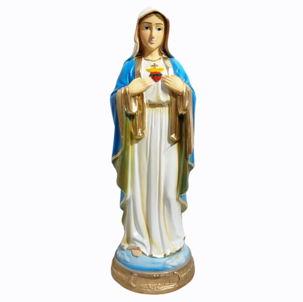 Sagrado Coração de Maria 30cm Gesso Premium Pintado