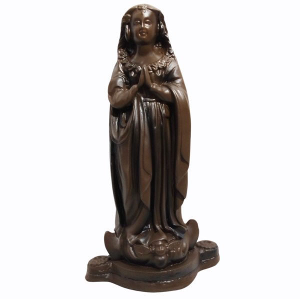 Nossa Senhora Aparecida Fac-Símile 25cm Gesso Premium Pintado - Image 11