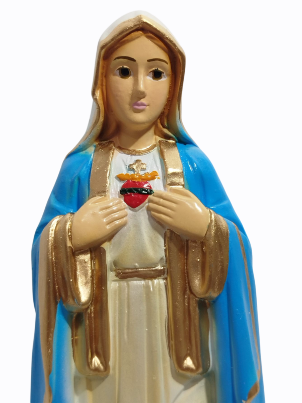 Sagrado Coração de Maria 20cm Gesso Premium Pintado - Image 2