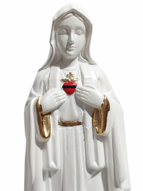 Sagrado Coração de Maria 20cm Gesso Premium Pintado - Image 8