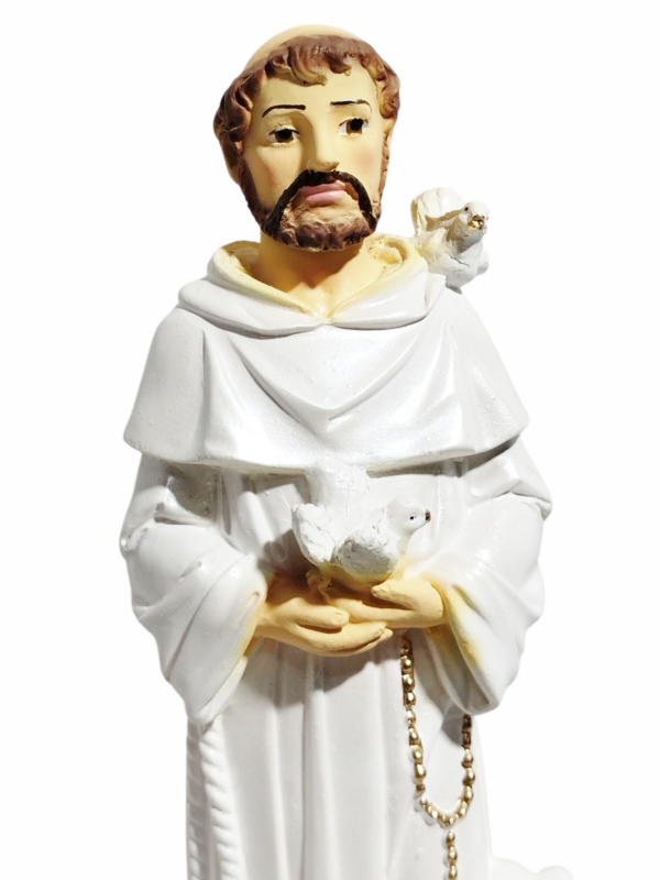 São Francisco de Assis 20cm Gesso Premium Pintado - Image 5