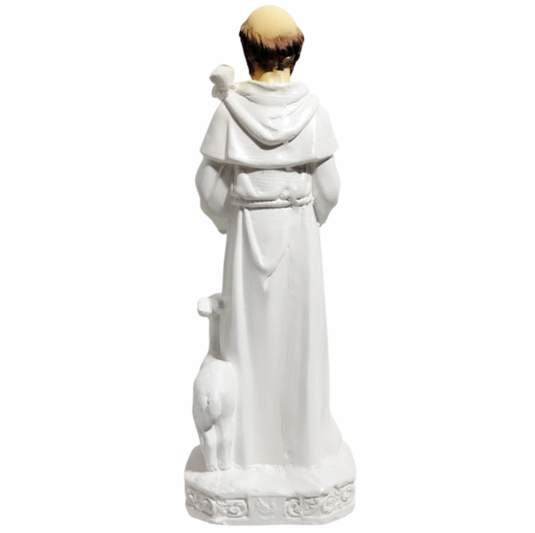 São Francisco de Assis 20cm Gesso Premium Pintado - Image 6
